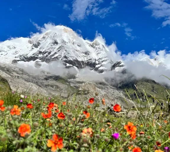 Annapurna Base Camp Trek 7 days.