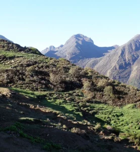 Langtang Tamang Heritage Trek 12 days.