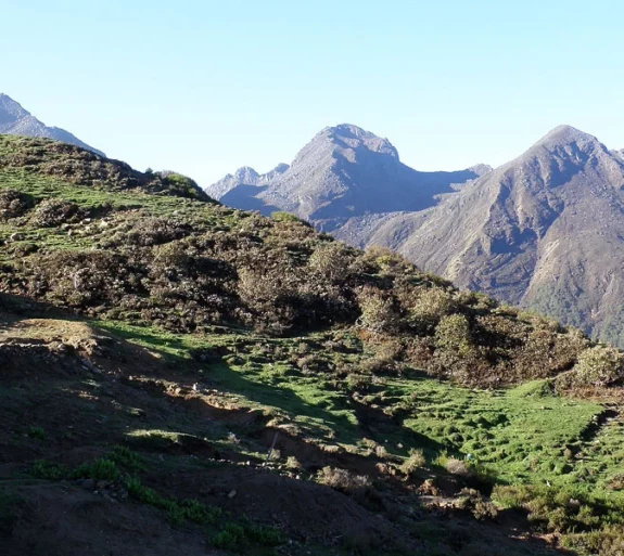 Langtang Tamang Heritage Trek 12 days.