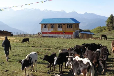 trek-in-langtang-14-days