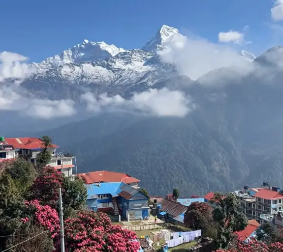 Ghorepani Poon Hill Trek 6 days.