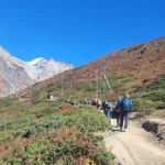 Manaslu Circuit Trek 12 days.