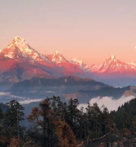 Mohare Danda Trek 4 days.