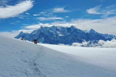 Dhaulagiri Circuit Trek 18 days.