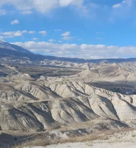 Mustang Holidays 19 days.