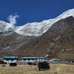 Rolwaling Trek 19 days.