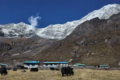 Rolwaling Trek 19 days.