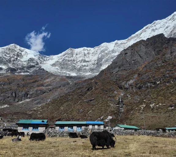 Rolwaling Trek 19 days.