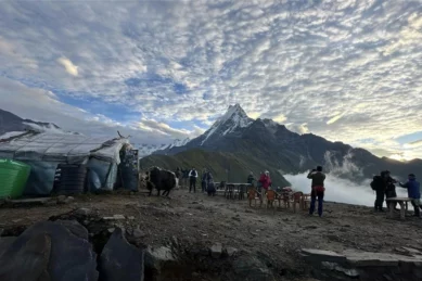 Mardi Himal Trek 12 days.