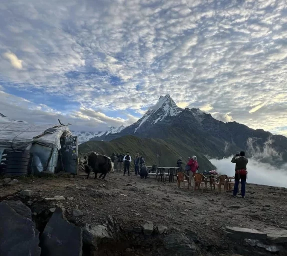 Mardi Himal Trek 12 days.