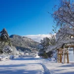 Rara Lake Trek 15 days.