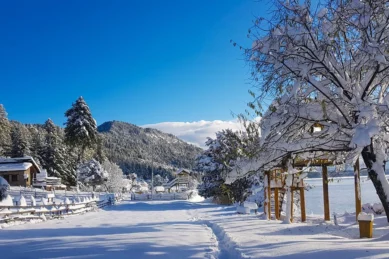 Rara Lake Trek 15 days.