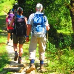 Pokhara Panchase Chitwan Tour.