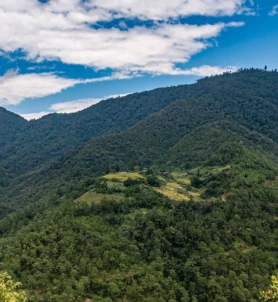 Bhutan small group tour