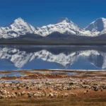 Lhasa EBC Namtso Lake Tour.