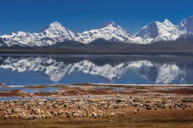 Lhasa EBC Namtso Lake Tour.