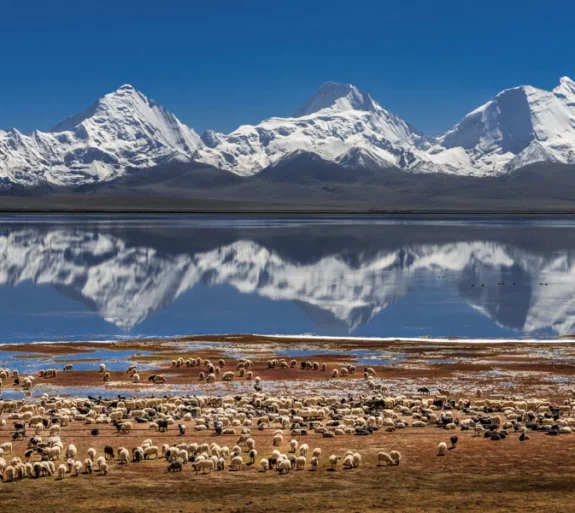 Lhasa EBC Namtso Lake Tour.