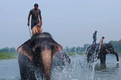 Kathmandu Chitwan Tour 3 days.