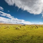 Lhasa to Kathmandu Tour.