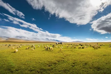 Lhasa to Kathmandu Tour.