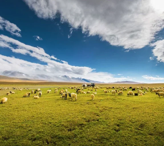 Lhasa to Kathmandu Tour.