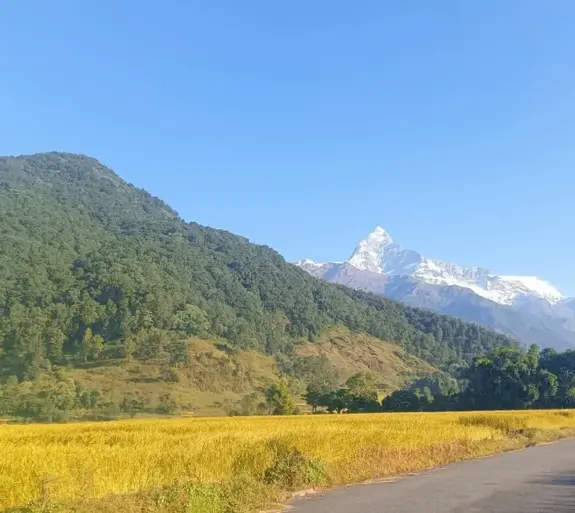 Khumai Danda Nepal Trek.
