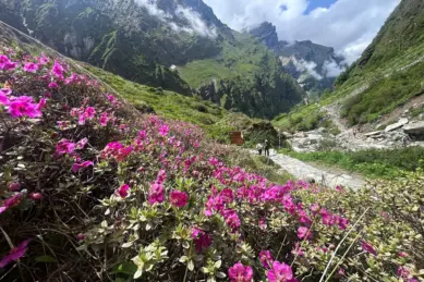ABC Trek Nepal.