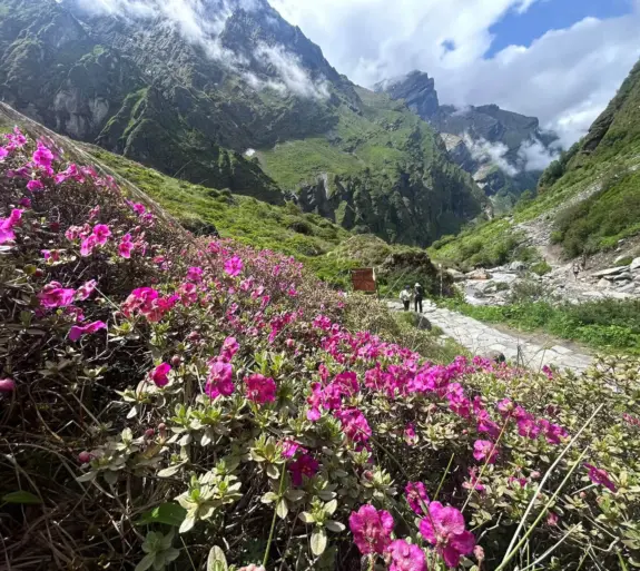ABC Trek Nepal.