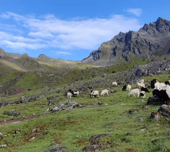 Ama Yangri Short Trek.
