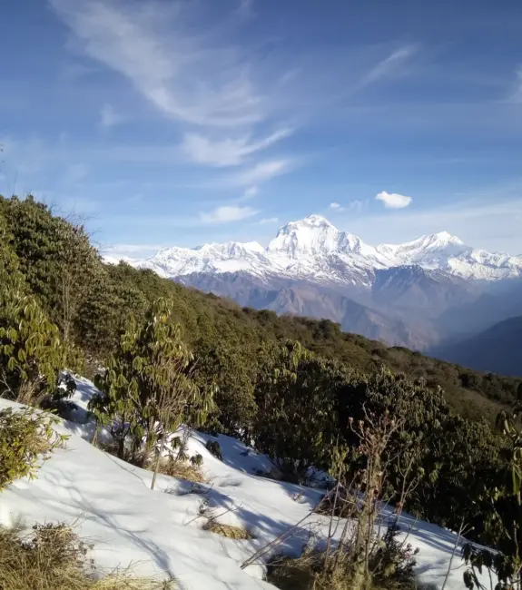 Ghorepani Poon Hill Trek.